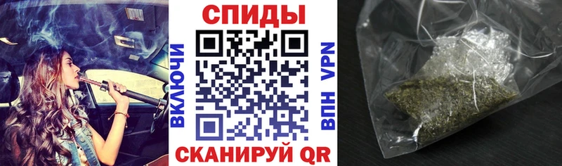 где можно купить Кашира Бутират BDO