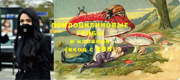 бошки Березники