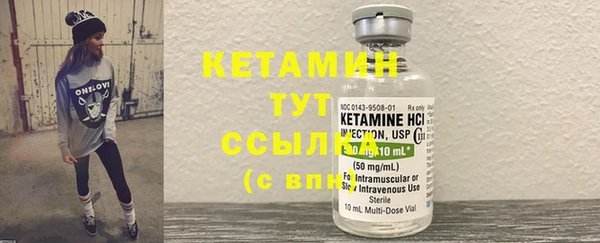 индика Карпинск