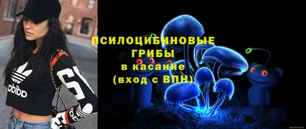 mdma Каменка