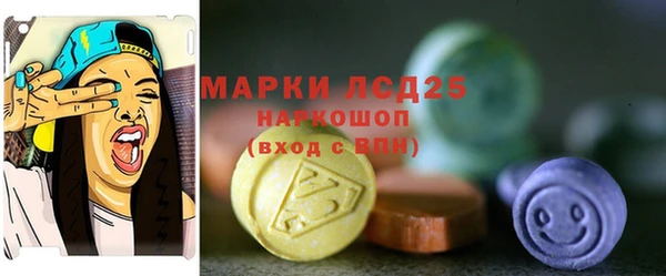 индика Карпинск