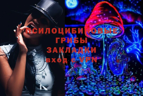 синтетический гашиш Каменногорск