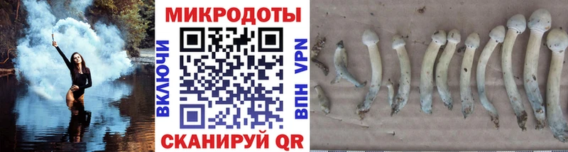 купить закладку  Кашира  blacksprut рабочий сайт  Галлюциногенные грибы MAGIC MUSHROOMS 