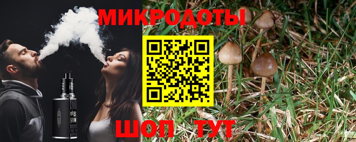 Псилоцибиновые грибы мухоморы  Галлюциногенные грибы мицелий  Кашира  Вход с VPN 